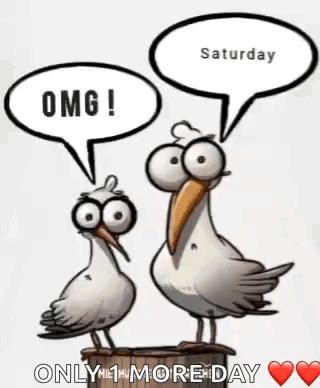 Two Seagulls Standing With Speech Bubbles