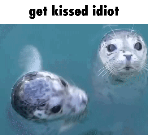 Two Seals Are Swimming In The Water With The Words `` Get Kissed Idiot '' Written Above Them . GIF