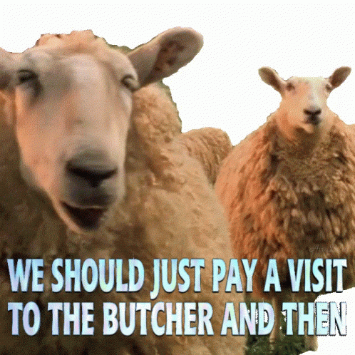 Two Sheep Saying We Should Just Pay a Visit to the Butcher and Then