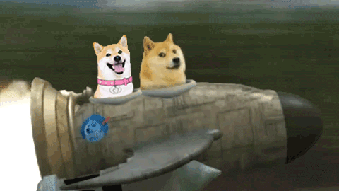 Two Shiba Inu Dogs Are Riding A Rocket GIF