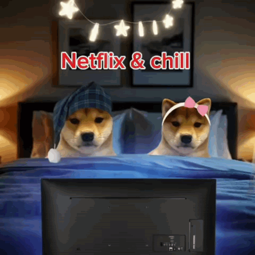 Two Shiba Inu Watching Netflix And Chill GIF