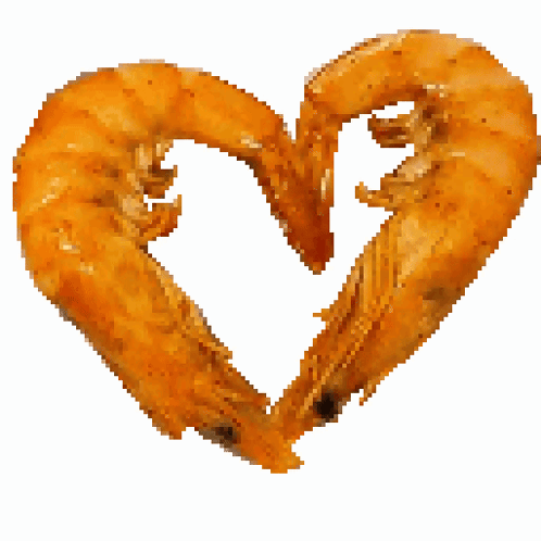Two Shrimp Making Heart Shape With Heads