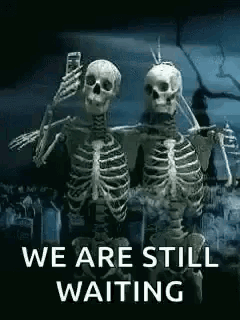 Two Skeletons Taking Selfie GIF