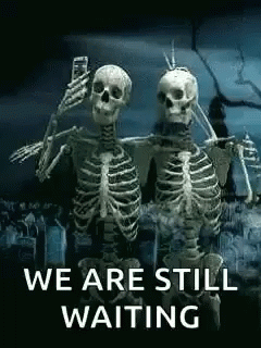 Two Skeletons Taking Selfie In Cemetery GIF