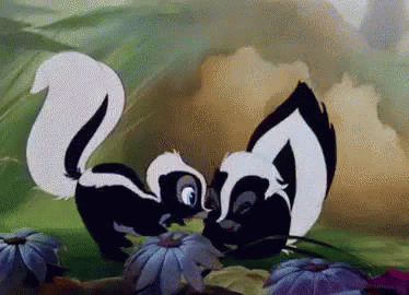 Two Skunks Standing in Flower Field