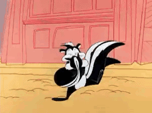 Two Skunks Standing Side by Side