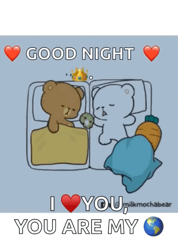 Two Sleeping Teddy Bears Good Night I Love You