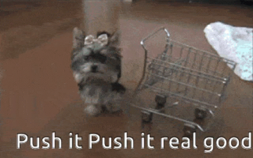 Two Small Dogs Pushing A Shopping Cart With The Words Push It Push It Real Good Below Them GIF