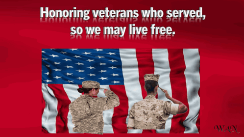 Two Soldiers Saluting American Flag Honoring Veterans