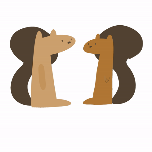 Two Squirrel Sharing Acorn GIF