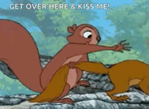 Two Squirrels Are Standing Next To Each Other On A Rock And One Says Get Over Here And Kiss Me GIF