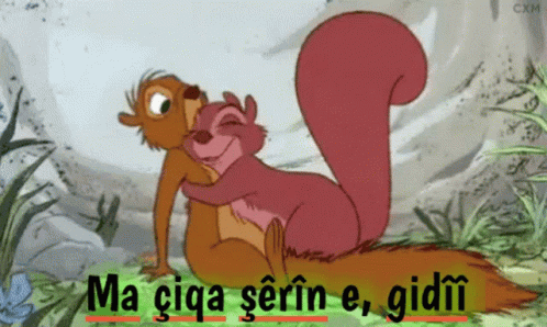 Two Squirrels Hugging Saying Ma Ciga Serifin E Gidii