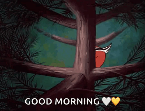 Two Squirrels Peeking Behind Tree Branch Good Morning