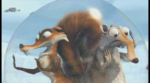 Two Squirrels Standing Next to Each Other in Glass Dome