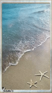 Two Starfish On Sandy Beach With Jamie GIF