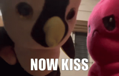 Two Stuffed Animals Now Kiss