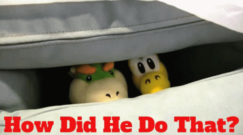 Two Stuffed Animals Peeking Under Blanket How Did He Do That