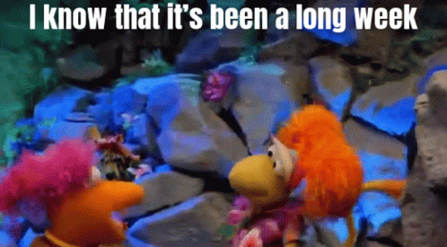 Two Stuffed Animals Standing Next To Each Other With The Words " I Know That It 'S Been A Long Week " Written Above Them GIF