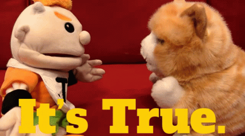 Two Stuffed Animals With The Words It 'S True On The Bottom Right GIF