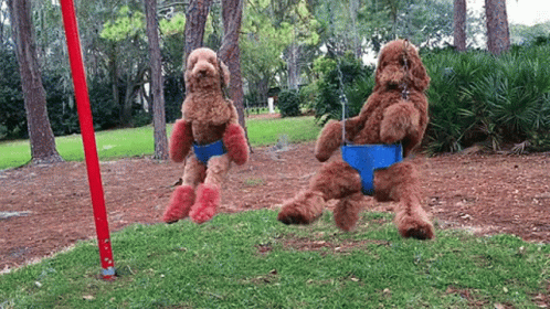 Two Stuffed Dogs Playing On Swing Set GIF
