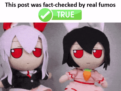 two stuffed dolls are sitting next to each other with a check mark above them that says true