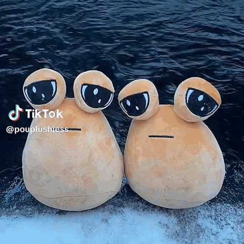 two stuffed frogs are standing next to each other with a tiktok watermark on the bottom