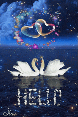 Two Swans In The Water With The Word Hello Written On The Water GIF