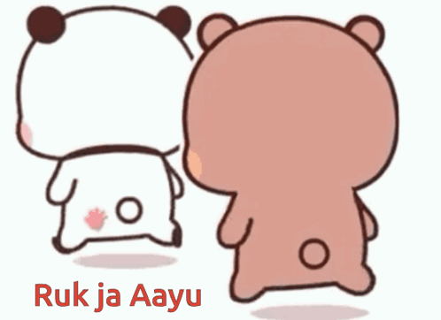 Two Teddy Bears Are Standing Next To Each Other And The Words Ruk Ja Aayu Are On The Bottom Right GIF