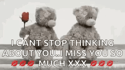 Two Teddy Bears Are Standing Next To Each Other With A Rose In Their Hand . GIF