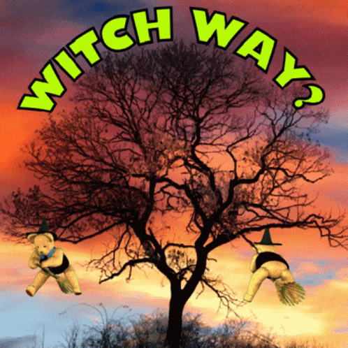 Two Teddy Bears Flying In Front Of Tree Saying Witch Way GIF