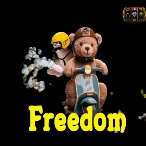 Two Teddy Bears Riding Scooter Saying Freedom In Yellow GIF