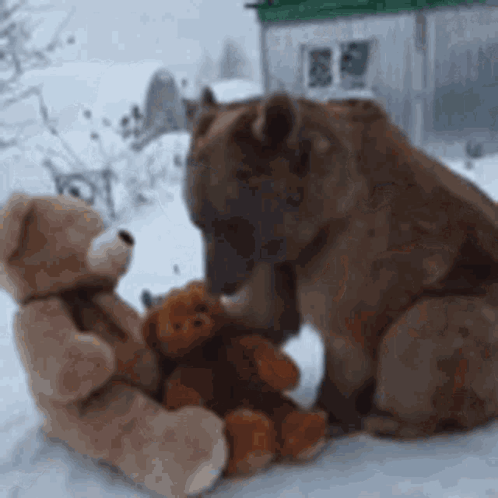 Two Teddy Bears Sitting in Snow
