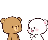 Two Teddy Bears Standing Together