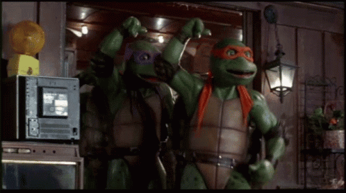 Two Teenage Mutant Ninja Turtles Are Posing For A Photo GIF