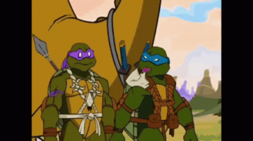 Two Teenage Mutant Ninja Turtles