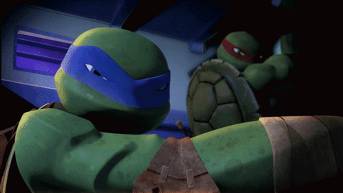 Two Teenage Mutant Ninja Turtles Standing Together GIF