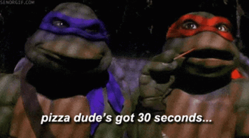 Two Teenage Mutant Ninja Turtles Talking Pizza