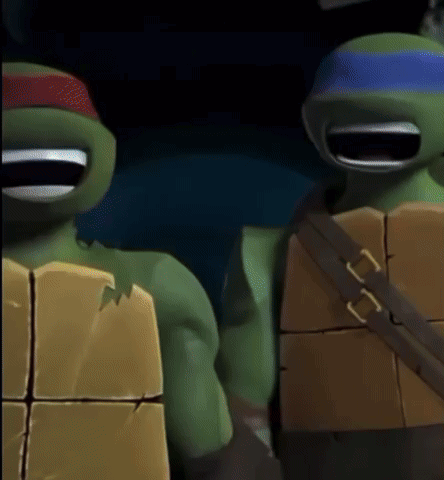 Two Teenage Mutant Ninja Turtles GIF