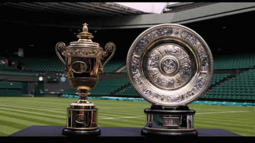 Two Trophies In Front Of Stadium GIF