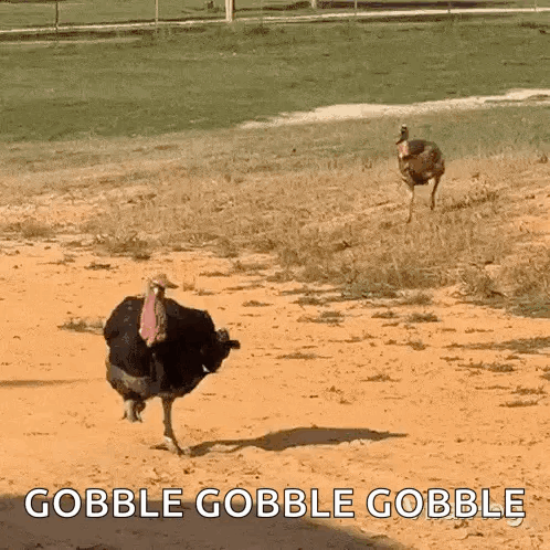 Two Turkeys Are Running In A Field With The Words Gobble Gobble Gobble Written Below Them GIF