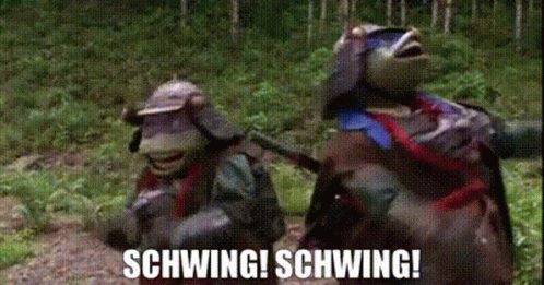 Two Turtles Are Walking In The Woods With The Words Schwing Schwing Written On The Screen GIF