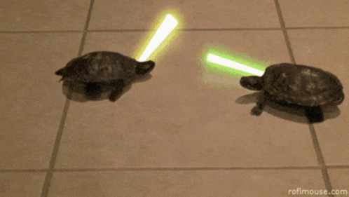 Two Turtles Fighting with Lightsabers