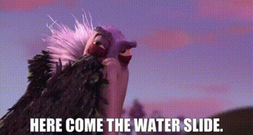 Two Vultures Are Standing Next To Each Other With The Words `` Here Come The Water Slide . '' GIF