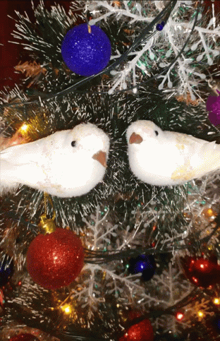 Two White Birds Are Sitting On A Christmas Tree With Red And Blue Ornaments GIF