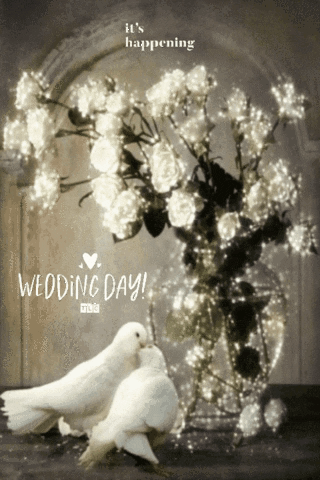 Two White Birds Kissing In Front Of A Vase Of Flowers With The Words Wedding Day GIF