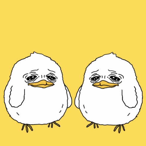 Two White Birds With Sad Faces Are Sitting Next To Each Other GIF