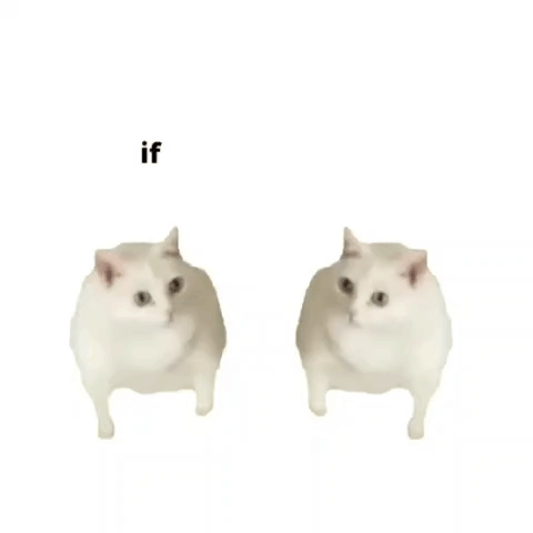 Two White Cats Standing Next To Each Other With The Words And If You Don T I 'Ll Ugh Anyway GIF