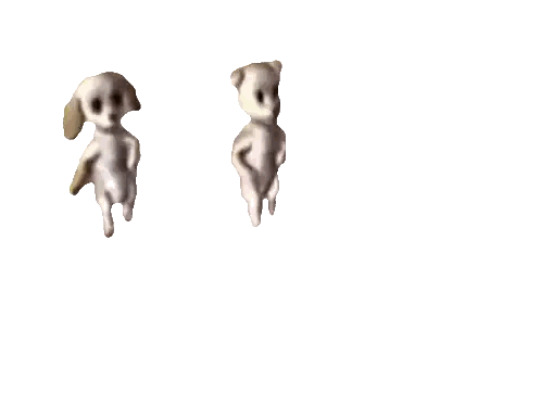 Two White Dogs Standing Next To Each Other