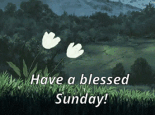 Two White Flowers Have a Blessed Sunday
