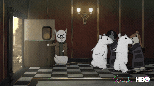 Two White Rats Kicked Out GIF
